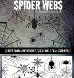 可爱卡通蜘蛛网、蜘蛛Photoshop笔刷下载