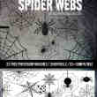 可爱卡通蜘蛛网、蜘蛛Photoshop笔刷下载