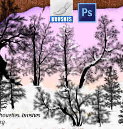 松树、雪松、圣诞树Photoshop树木笔刷