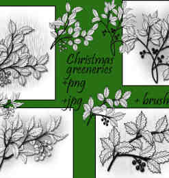 漂亮的手绘圣诞节枝叶、圣诞节饰品装饰PS笔刷下载
