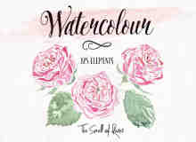 漂亮的手绘水彩玫瑰花图案Photoshop笔刷下载