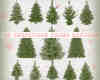 19个真实的圣诞节圣诞树造型PS笔刷下载