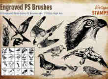 20种版刻式鸟类图案Photoshop鸟笔刷免费下载