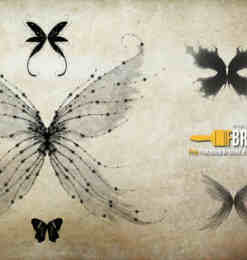 精灵仙子翅膀、妖精翅膀Photoshop梦幻翅膀笔刷