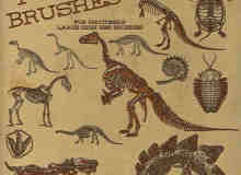 恐龙骨骼、远古巨龟、巨蜥化石、恐龙化石PS笔刷下载