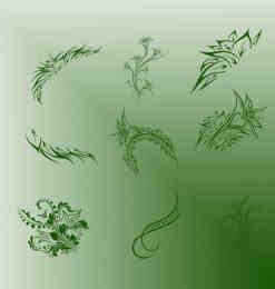 独立的优美艺术花纹图案Photoshop植物花纹笔刷