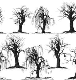 枯干的树木、恐怖大树Photoshop鬼树笔刷