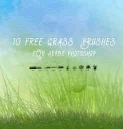 10个免费的绿色小草、青草、草坪Photoshop笔刷下载