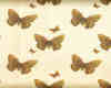 漂亮的蝴蝶图案背景PSD素材下载