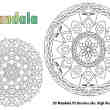 20种曼荼罗式花纹图案PS植物花纹印记笔刷