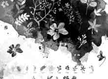 16种水彩花卉、花纹图案PS笔刷下载
