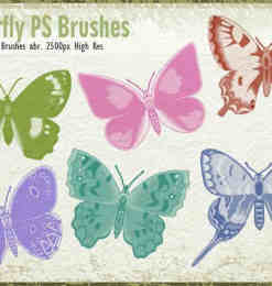 20种漂亮蝴蝶图形PS昆虫笔刷