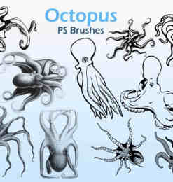 20种章鱼图形PS笔刷下载