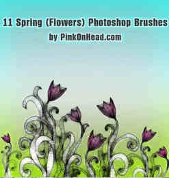 11种黑暗花朵、花纹图像PS笔刷下载