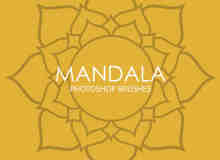 手绘漂亮的太阳花、向日葵花朵花纹Photoshop笔刷Mandala系列