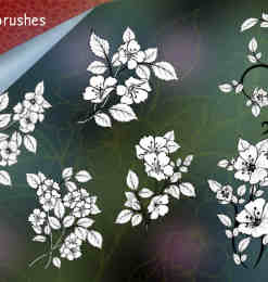 漂亮的鲜花、花朵图案Photoshop花纹笔刷