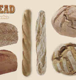 20种烤面包、长棍面包Photoshop食物笔刷