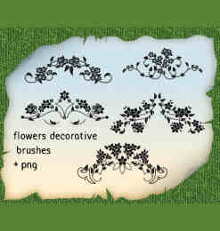 5种漂亮的优雅艺术植物花纹图案PS笔刷素材下载