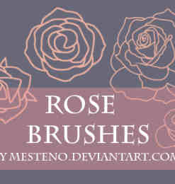 漂亮的玫瑰花线框图形Photoshop笔刷素材