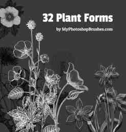 32种植物野草野花造型PS剪贴画笔刷素材