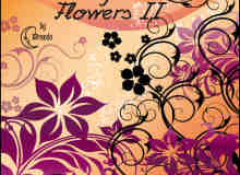 漂亮的鲜花与植物花纹图案PS笔刷素材下载