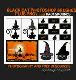万圣节女巫的猫咪、卡通黑猫PS笔刷素材