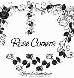 植物玫瑰花朵花纹、花圈、花环印花图案Photoshop玫瑰花笔刷