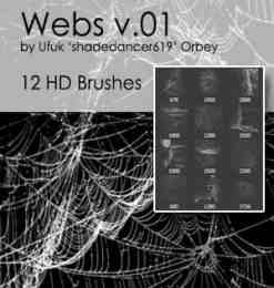 12种高清蜘蛛网、蛛网Photoshop笔刷素材