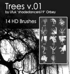14种大树、树木剪影图形Photoshop笔刷素材下载