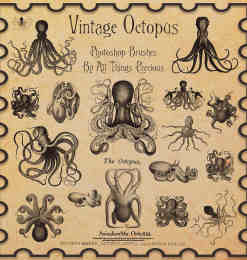 章鱼、乌贼、海底怪物、深海巨兽Photoshop笔刷素材