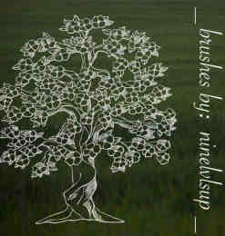 手绘开花的树、大树图形Photoshop笔刷素材免费下载