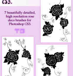7种漂亮的玫瑰花印记、玫瑰花花纹图案Photoshop笔刷素材