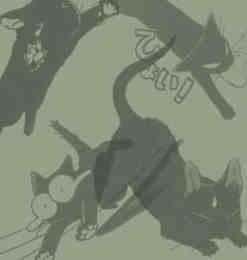 可爱的黑色猫咪、卡通猫图形Photoshop笔刷素材