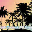 海边椰子树剪影图案PS笔刷素材下载