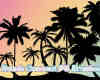 海边椰子树剪影图案PS笔刷素材下载