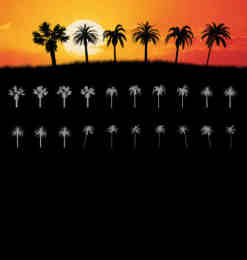 海边海岛上棕榈树、椰子树、大树剪影图案Photoshop笔刷素材下载