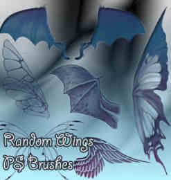 蝙蝠恶魔翅膀、天使的翅膀羽翼、昆虫蝴蝶的翅膀PS笔刷素材