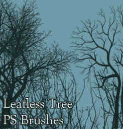 冬天的大树剪影、干枯的树木、光秃秃的树背景PS笔刷素材
