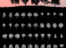 45种超级大树、树木僧侣、森林大树阴影剪影图形Photoshop笔刷素材下载