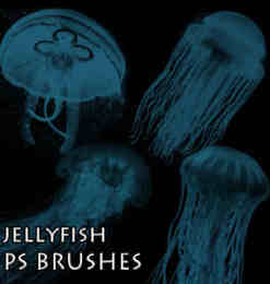 海洋生物水母Photoshop笔刷素材下载