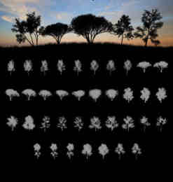 非洲大草原上的树木、大树阴影树荫剪影图形Photoshop笔刷素材
