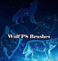 雪狼、野狼、狼头Photoshop动物笔刷素材
