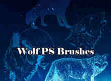 雪狼、野狼、狼头Photoshop动物笔刷素材