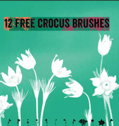 12种免费的水彩造型鲜花图案PS笔刷素材下载