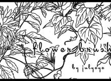 植物树叶、鲜花线框图形PS笔刷素材