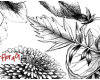 素描式手绘植物花纹图案Photoshop笔刷素材下载