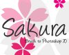 简单的日本樱花花纹图案PS笔刷素材