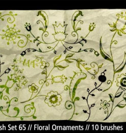 漂亮的艺术植物花纹图案、美丽艺术印花PS笔刷素材下载