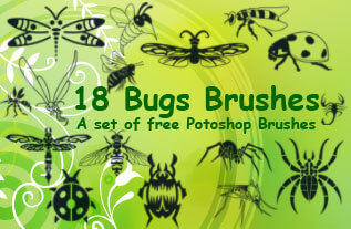 昆虫蜻蜓、苍蝇、甲虫、蚊子、蝎子、蜘蛛、蜜蜂Photoshop笔刷素材下载