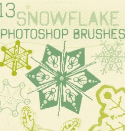 13种漂亮的雪花状花纹图案PS笔刷素材下载
